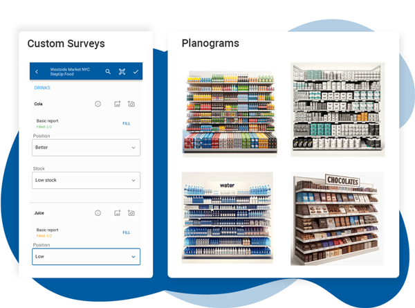In Store Retail Execution Surveys and Planograms