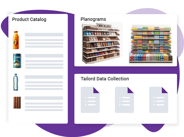 Product Overview In-Store Retail Execution